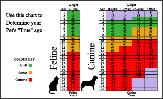 Age chart